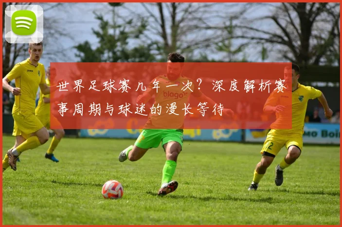 世界足球赛几年一次？深度解析赛事周期与球迷的漫长等待
