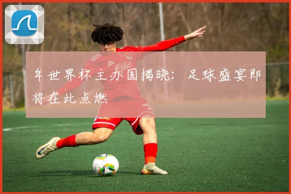 年世界杯主办国揭晓:足球盛宴即将在此点燃