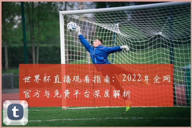 世界杯直播观看指南:2022年全网官方与免费平台深度解析