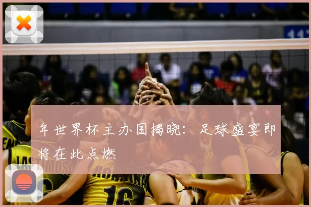 年世界杯主办国揭晓：足球盛宴即将在此点燃