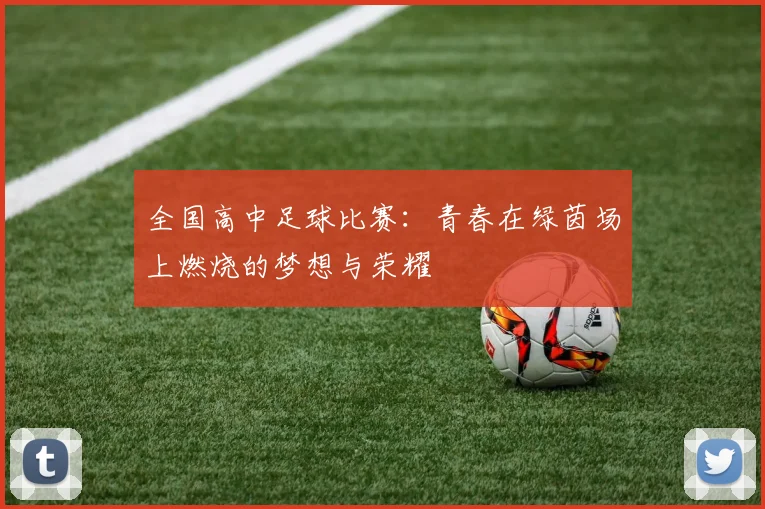 全国高中足球比赛：青春在绿茵场上燃烧的梦想与荣耀
